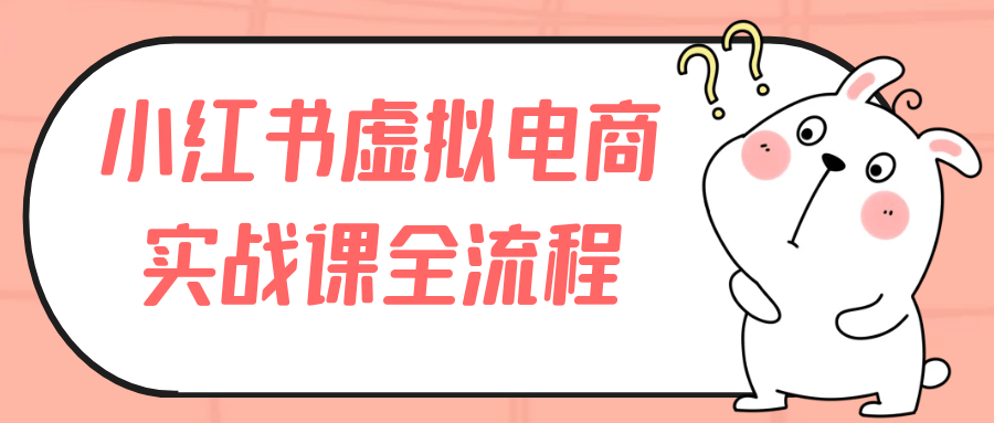 小红书虚拟电商实战课全流程